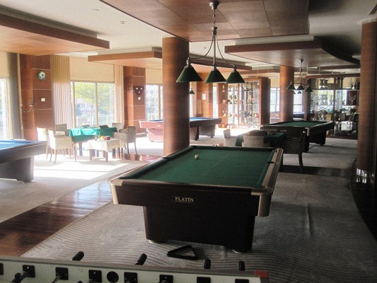 Турецкий марш казахстанской пантеры