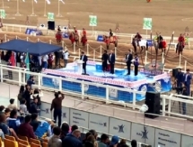 Международный турнир по жамбы ату «Алтын жебе» стартовал в Астане