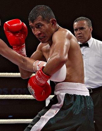 Мексиканские бойцы. Кто к нам едет?!