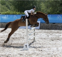 Чемпионат РК для молодых лошадей. Второй Этап Кубка Федерации