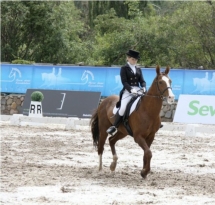 Чемпионат РК для молодых лошадей. Второй Этап Кубка Федерации