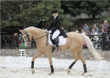 Чемпионат РК для молодых лошадей. Второй Этап Кубка Федерации