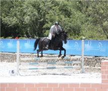 Чемпионат РК для молодых лошадей. Второй Этап Кубка Федерации