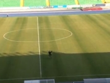 Видеообзор матча 26-го тура Премьер-Лиги «Кайрат» — «Тобол» 1:0