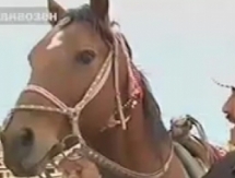 Адайские скакуны могут принять участие в Чемпионате мира 2014