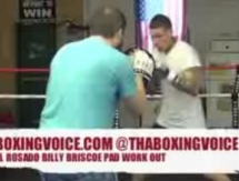 Габриэль Росадо: «К 8-9 раунду я нокаутирую Головкина!»