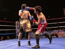 Фоторепортаж с матчевой встречи WSB «USA Knockouts» — «Astana Arlans» 1:4