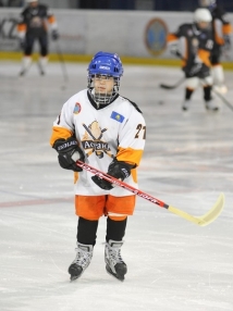 «Хоккейный» день