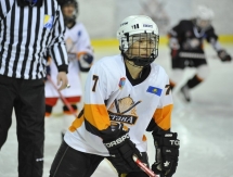 «Хоккейный» день