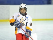 «Хоккейный» день