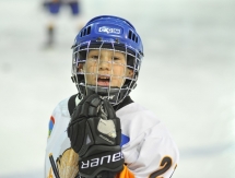 «Хоккейный» день