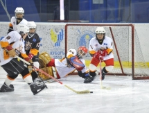 «Хоккейный» день