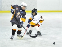 «Хоккейный» день