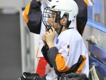 «Хоккейный» день