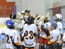 «Хоккейный» день