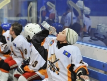 «Хоккейный» день