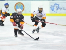 «Хоккейный» день