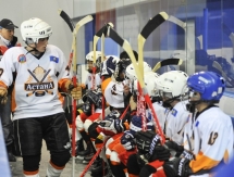 «Хоккейный» день