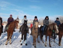 В Петропавловске прошел фестиваль конных видов спорта «Кулагер»