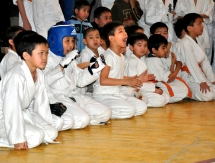 В Таразе завершилось первенство по киокушинкай-кан каратэ-до