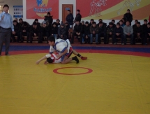 «Қазақстан Барысы» продолжает завоевывать сердца