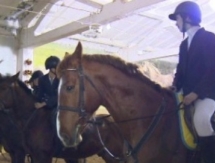 В Астане прошел турнир по конкуру