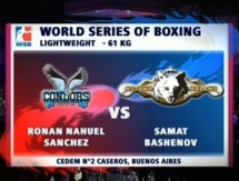 Видео боя встречи WSB Ронан Санчес VS Самат Башенов