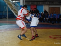 В соревнованиях по казакша курес в Мангистауской области победу одержал актауский палуан 