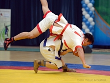 Еще две области в «Қазақстан Барысы»