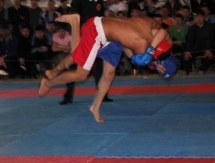 В Казахстане смешанные единоборства ждет большое будущее