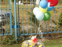 Фестиваль волейбола в Усть-Каменогорске