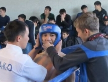 В Петропавловске прошел чемпионат области по кикбоксингу