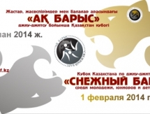 В Астане пройдет ежегодный Кубок Казахстана по джиу-джитсу «Снежный Барс»
