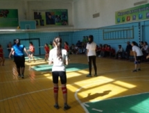 Акимат Тараза проводит волейбольный турнир к 8 марта
