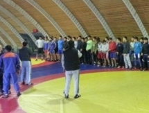 Сборная РК по греко-римской борьбе проводит УТС в Таразе