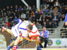 Первый в РК спортивный клуб по казакша курес появится в Таразе