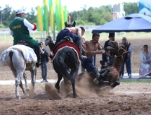 В Астане состязались участники I чемпионата Азии по аударыспақ
