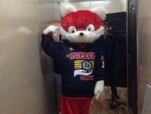 У «Горняка» появился маскот