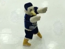 Видеообзор матча чемпионата РК «Иртыш» — «Арлан» 8:1