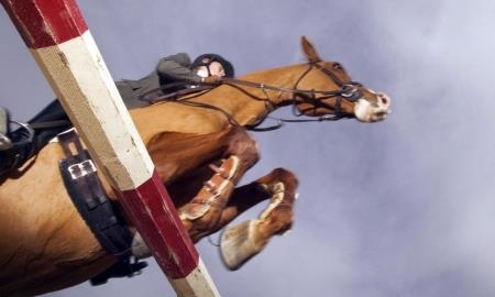 Дети с ограниченными возможностями из ВКО выступили на конном турнире в Москве