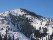 «Алматы 2022»: лучше гор могут быть только горы...