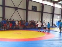 Сборная Казахстана по греко-римской борьбе начала УТС в Венгрии