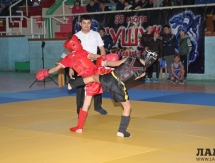 Более 300 спортсменов участвуют в чемпионате Казахстана по ушу