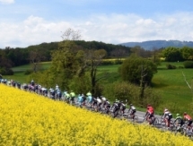 Рейн Таарамяэ: «На спуске я поехал вперед, чтобы усложнить финиш»