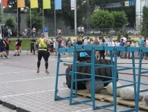 Батыры южной столицы соревновались в силовом экстриме