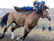 Чемпионат Казахстана по конным видам спорта среди молодежи стартовал в ЗКО