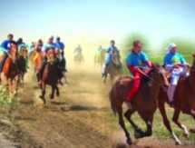 На юге РК состоялись соревнования по конным видам спорта на Кубок Президента