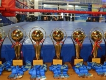 «Кубок сильнейших» завоевали два кикбоксера из Петропавловска