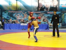 Казахстан стал лучшим на чемпионате мира по NOMAD ММА