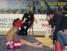 Казахстан стал лучшим на чемпионате мира по NOMAD ММА